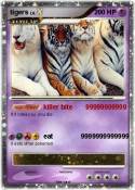 tigers