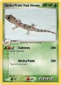 Gecko From Your