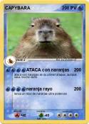 CAPYBARA