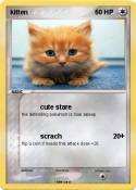 kitten