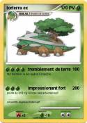 torterra ex