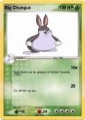 Big Chungus