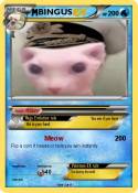 BINGUS