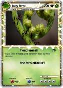 lady fern!