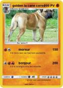 golden la cane