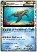 Sea turtle