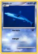 requin