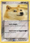Doge