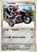 Cow Moto