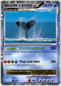 BALEINE A BOSSE