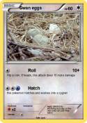 Swan eggs