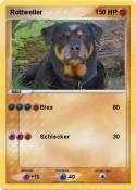 Rottweiler