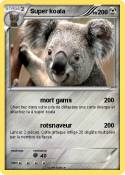 Super koala