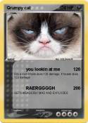 Grumpy cat