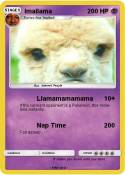 Imallama