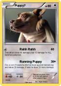 Puppy?