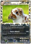 BUNNY!