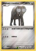 éléphant à