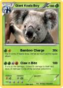 Giant Koala