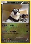 SUPRISED HUSKY