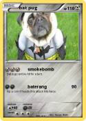 bat pug