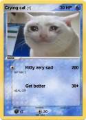 Crying cat ;-;