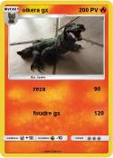 oikera gx