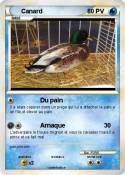 Canard