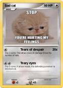 Sad cat