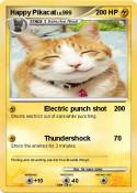 Happy Pikacat