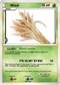 Wheat