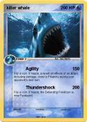 killer whale