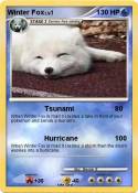 Winter Fox