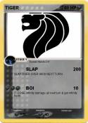 TIGER