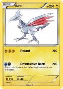 Bird