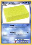 kitchen sponge