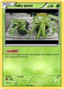 baby spider