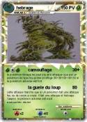 hebrage