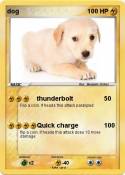 dog