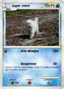super chien