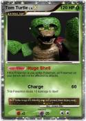 Tom Turtle