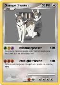Grumpy ( husky