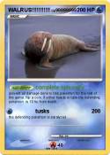 WALRUS!!!!!!!!!