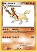 Punchion lv:X