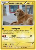 golden retrieve