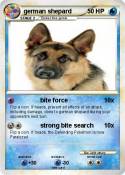 german shepard