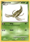 Megarachne