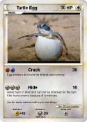 Turtle Egg