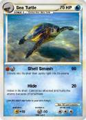 Sea Turtle