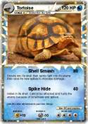 Tortoise